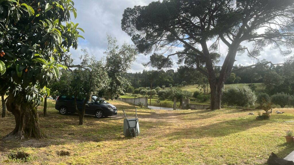Quinta Finesterra in Portugal